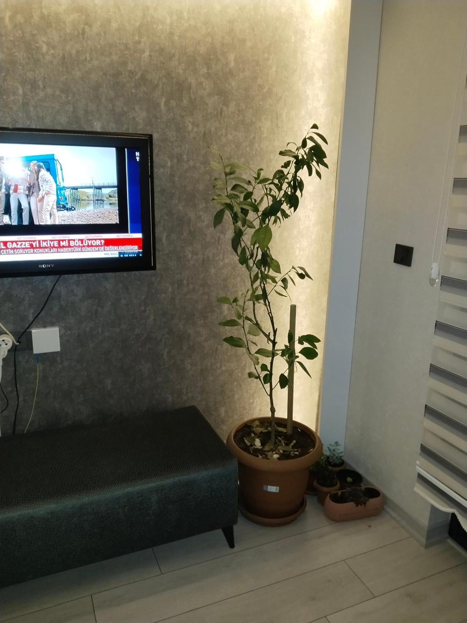 Ankara Esenboga Airport Luxury Rezidance Apart Екстер'єр фото